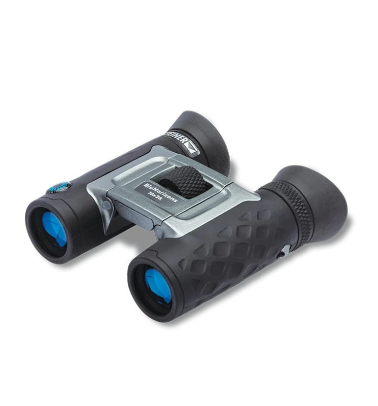 “Steiner BluHorizons” 10x26