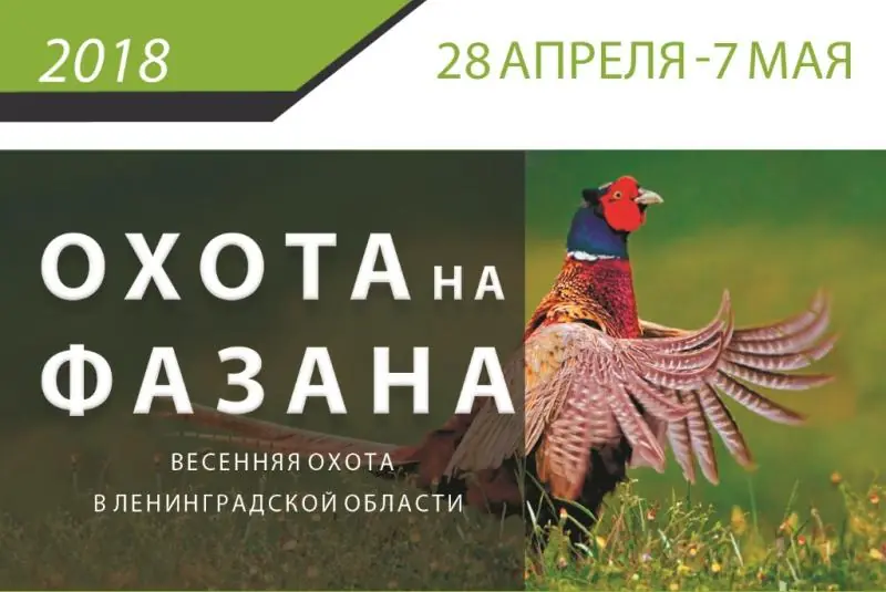 Охота на фазана